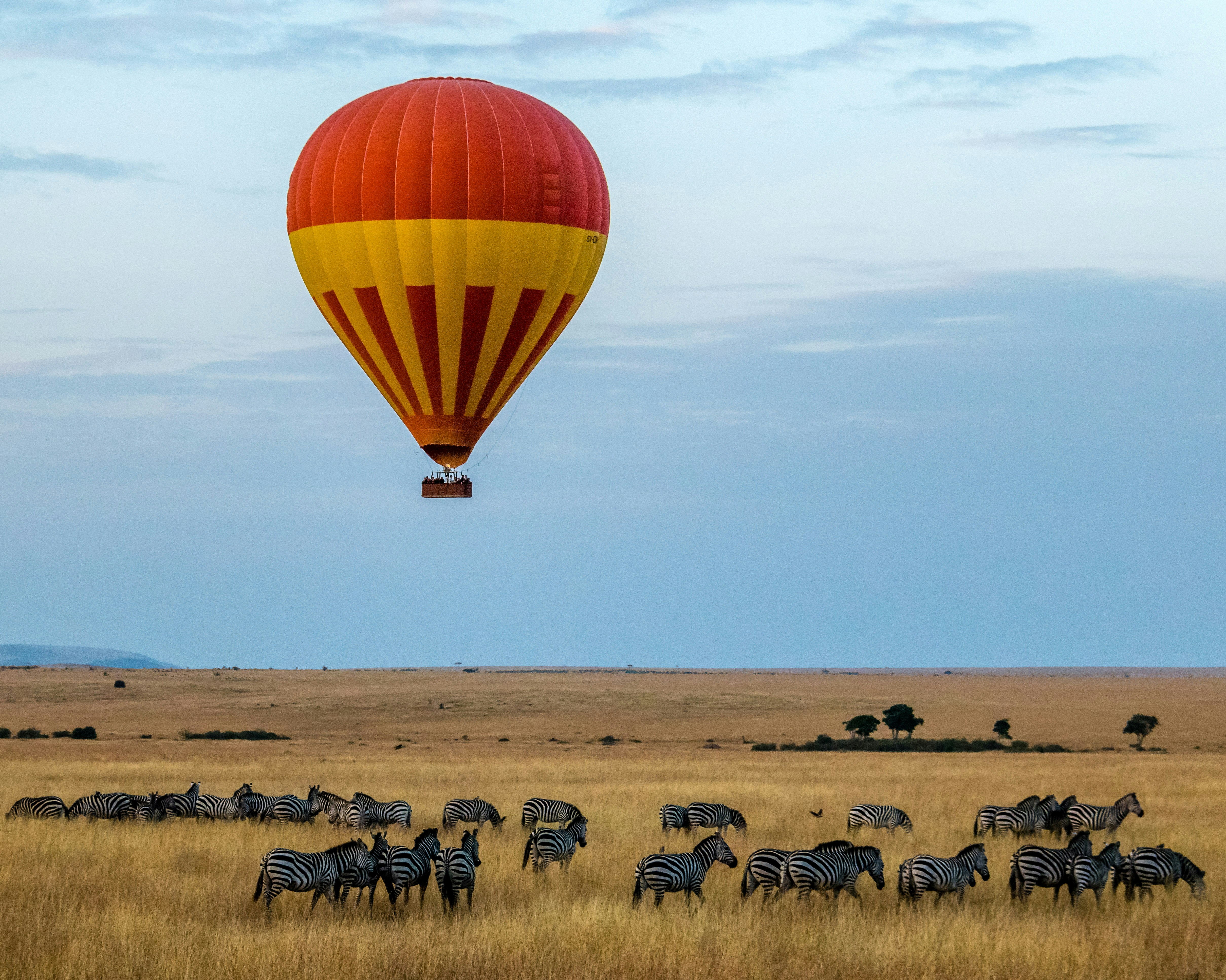 Kenya Safari Packages: Types, Costs & What's Included