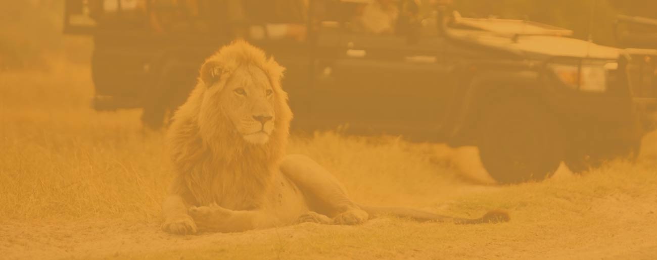 3-Day Basecamp Mara Safari by Tazama