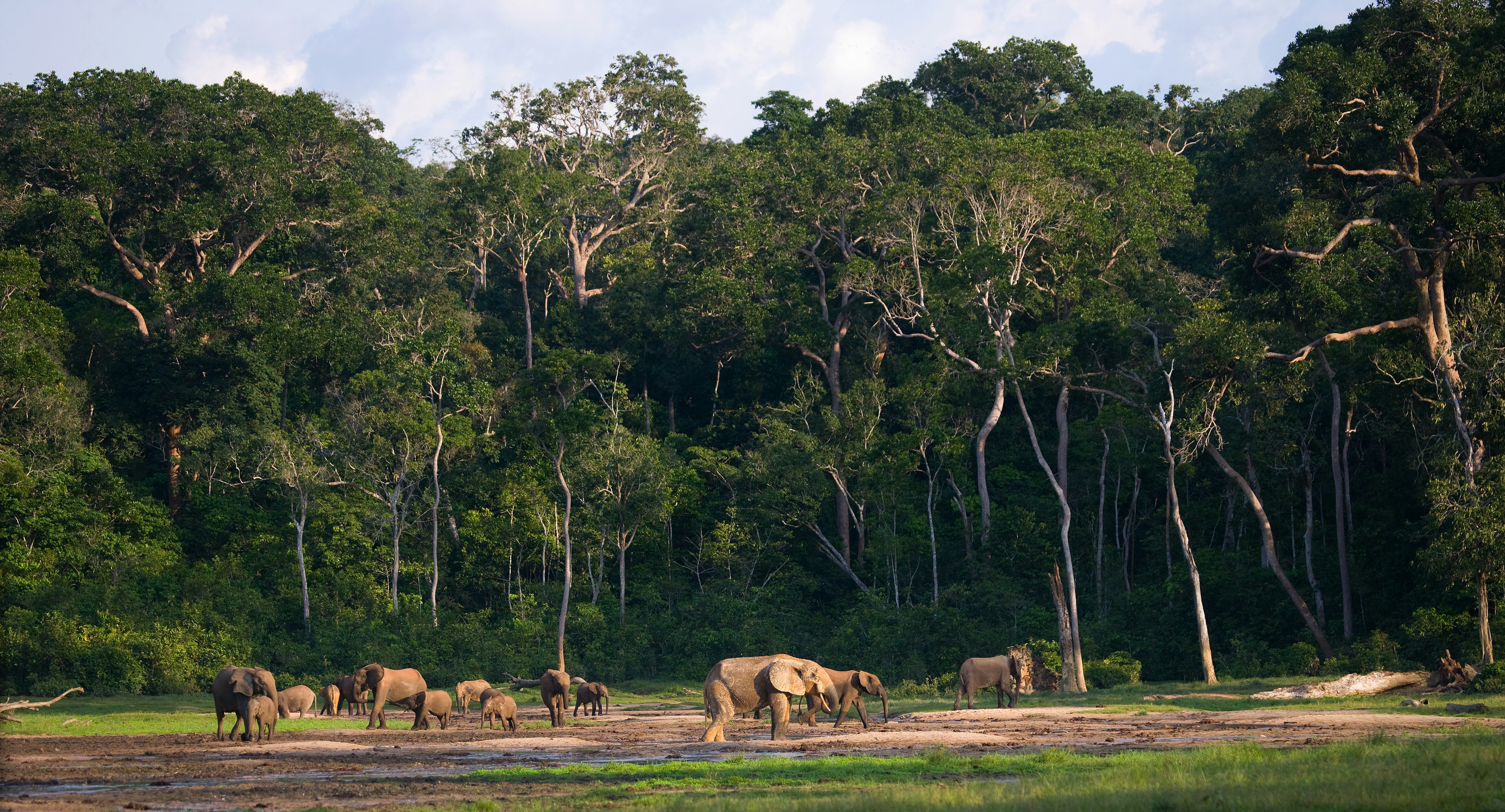 5 Day Aberdare Lake Nakuru Mara Safari